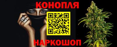 бошки Будённовск