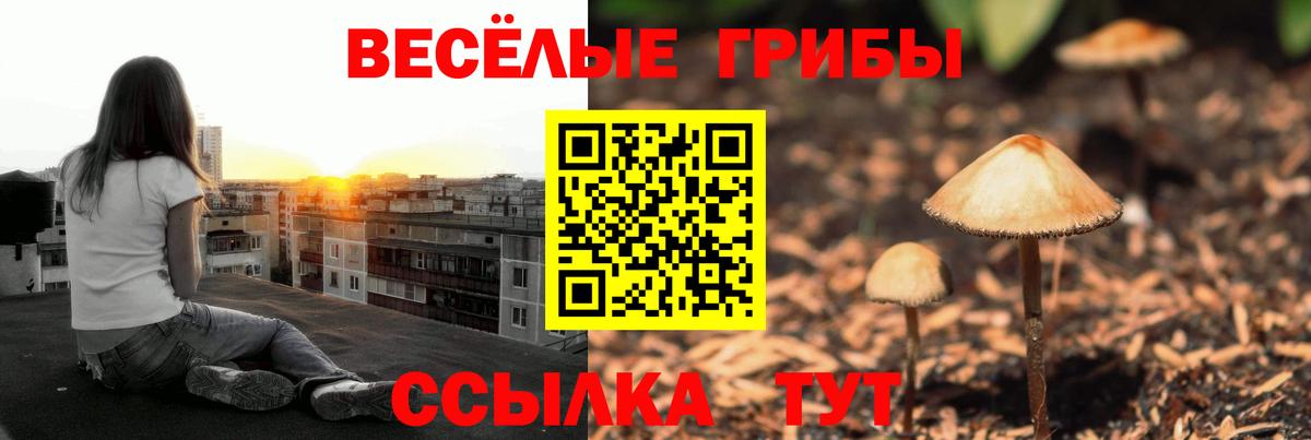 Псилоцибиновые грибы Cubensis Печора