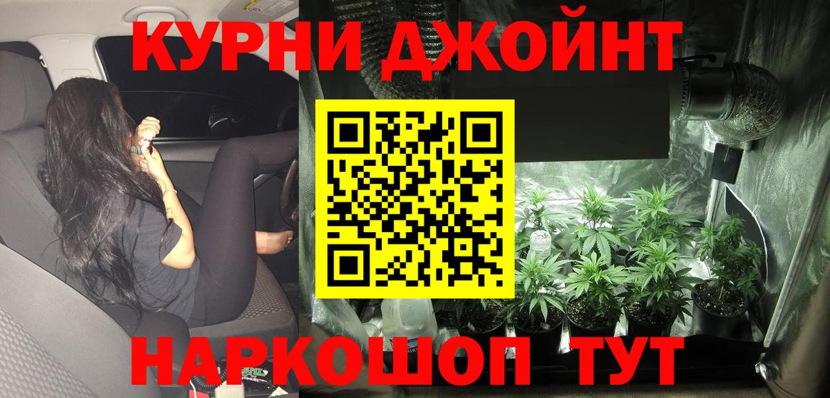 Печора  Канабис сатива  Бошки марихуана конопля  Марихуана конопля  Вход с VPN 